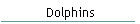 Dolphins